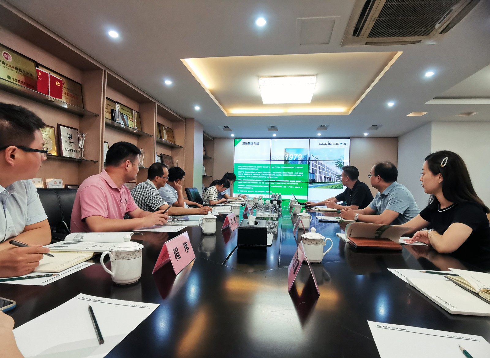 合肥市政协胡国春主任一行调研三乐集团